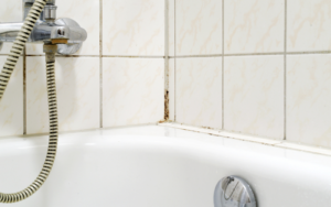 Jak chronić przed wilgocią łazienkę i co, gdy pojawi się pleśń?